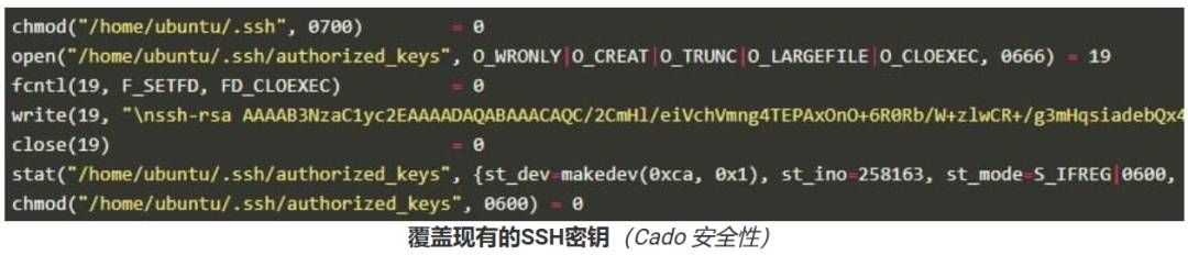 金瀚信安：P2PInfect僵尸網(wǎng)絡(luò)急速擴(kuò)張，攻擊頻率激增600倍，全球大規(guī)模入侵4