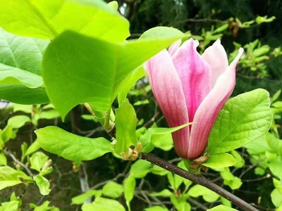 生意的本質 生生不息，心上之意